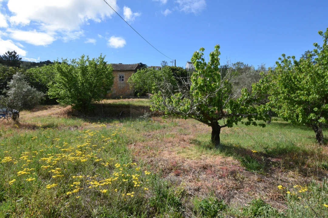 Quinta T3 para Venda em Ferro Foto 33