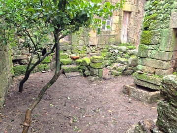 Moradia T0 para Venda em Moimenta da Serra e Vinhó