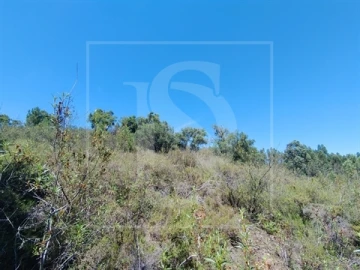 Terreno para Venda em Praia do Ribatejo