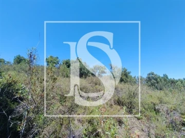 Terreno para Venda em Praia do Ribatejo