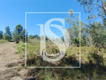 Terreno para Venda em Praia do Ribatejo