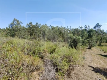 Terreno para Venda em Praia do Ribatejo