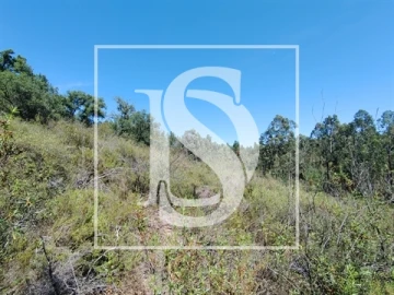 Terreno para Venda em Praia do Ribatejo