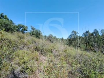 Terreno para Venda em Praia do Ribatejo