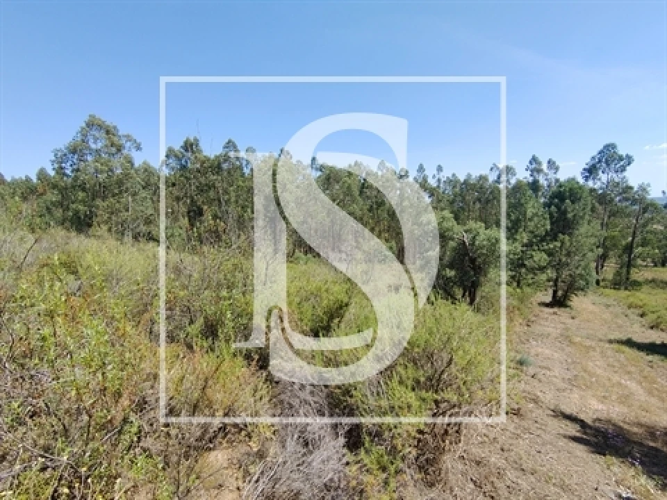 Terreno para Venda em Praia do Ribatejo Foto 3