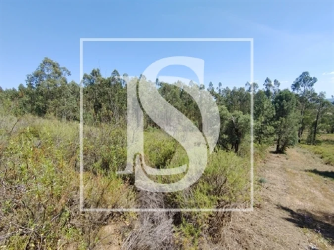 Terreno para Venda em Praia do Ribatejo Foto 3