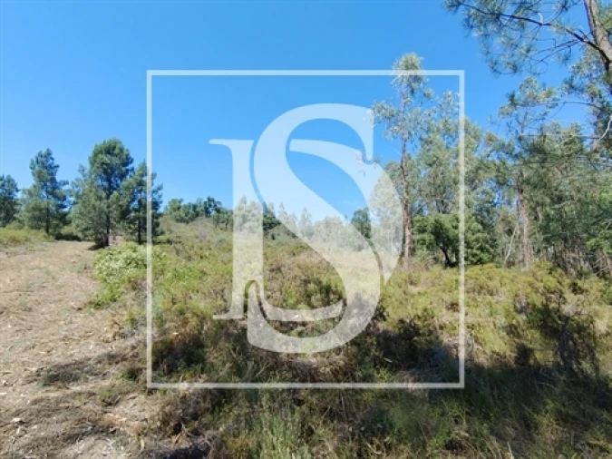 Terreno para Venda em Praia do Ribatejo Foto 2