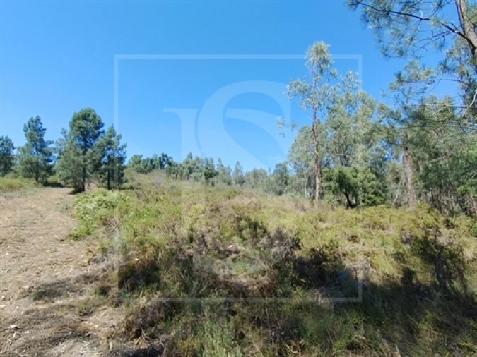 Terreno para Venda em Praia do Ribatejo