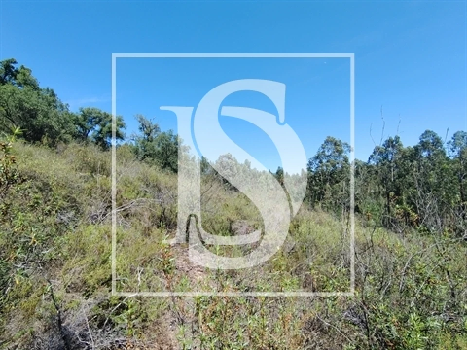 Terreno para Venda em Praia do Ribatejo Foto 1