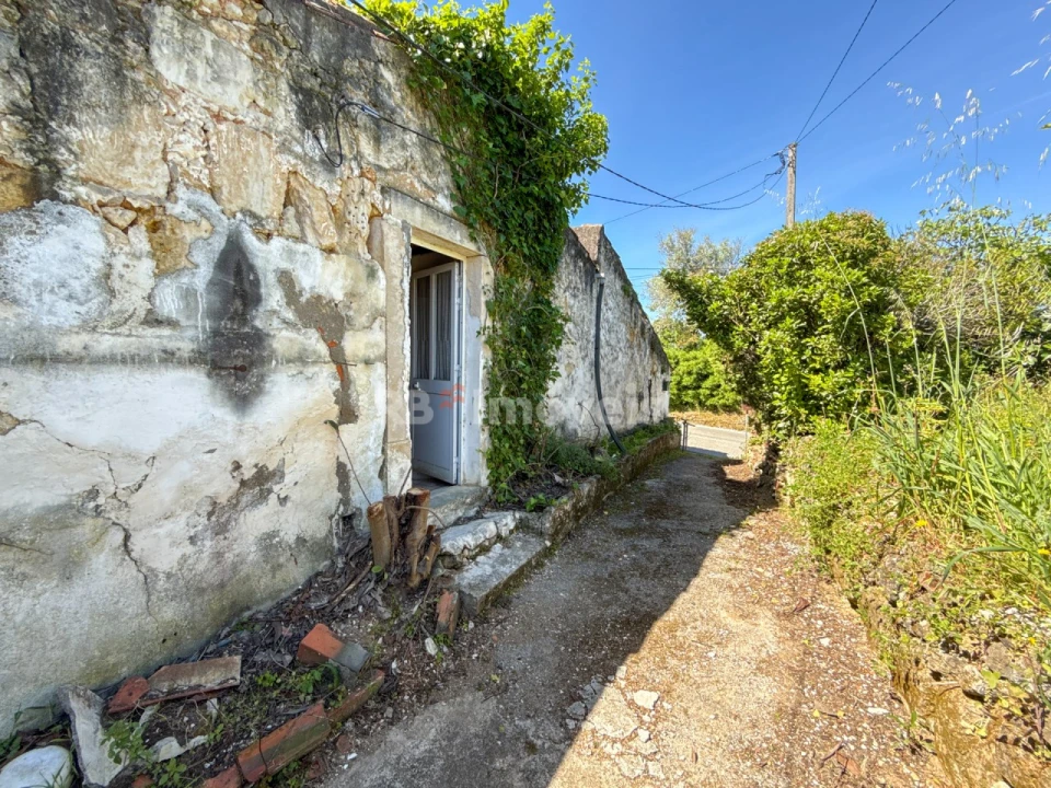 Moradia para Venda em Torres Novas (São Pedro), Lapas e Ribeira Branca Foto 5