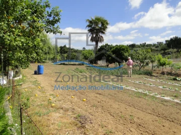 Quinta T2 para Venda em Alenquer (Santo Estêvão e Triana)