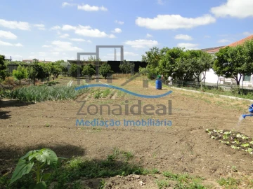 Quinta T2 para Venda em Alenquer (Santo Estêvão e Triana)