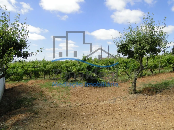 Quinta T2 para Venda em Alenquer (Santo Estêvão e Triana) Foto 31