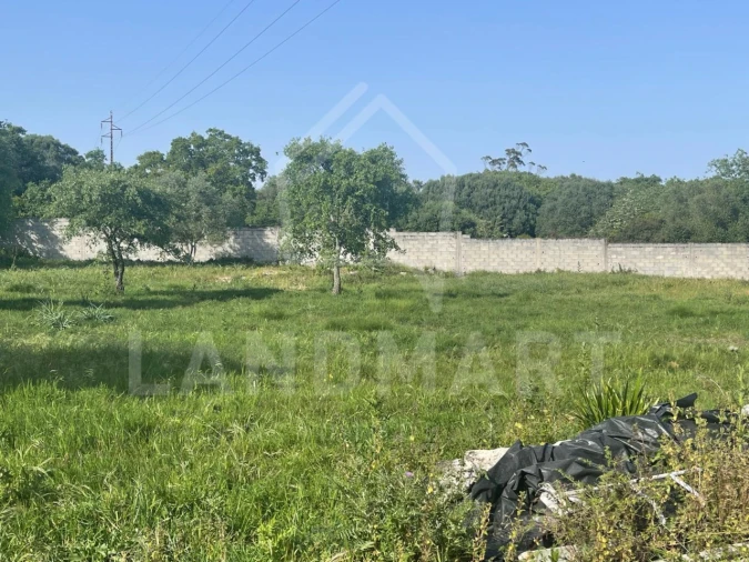 Negócio para Venda em Turquel Foto 3