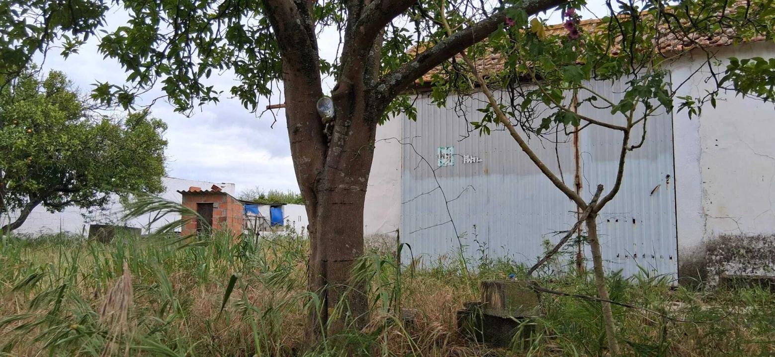 Terreno para Venda em Fazendas de Almeirim Foto 6