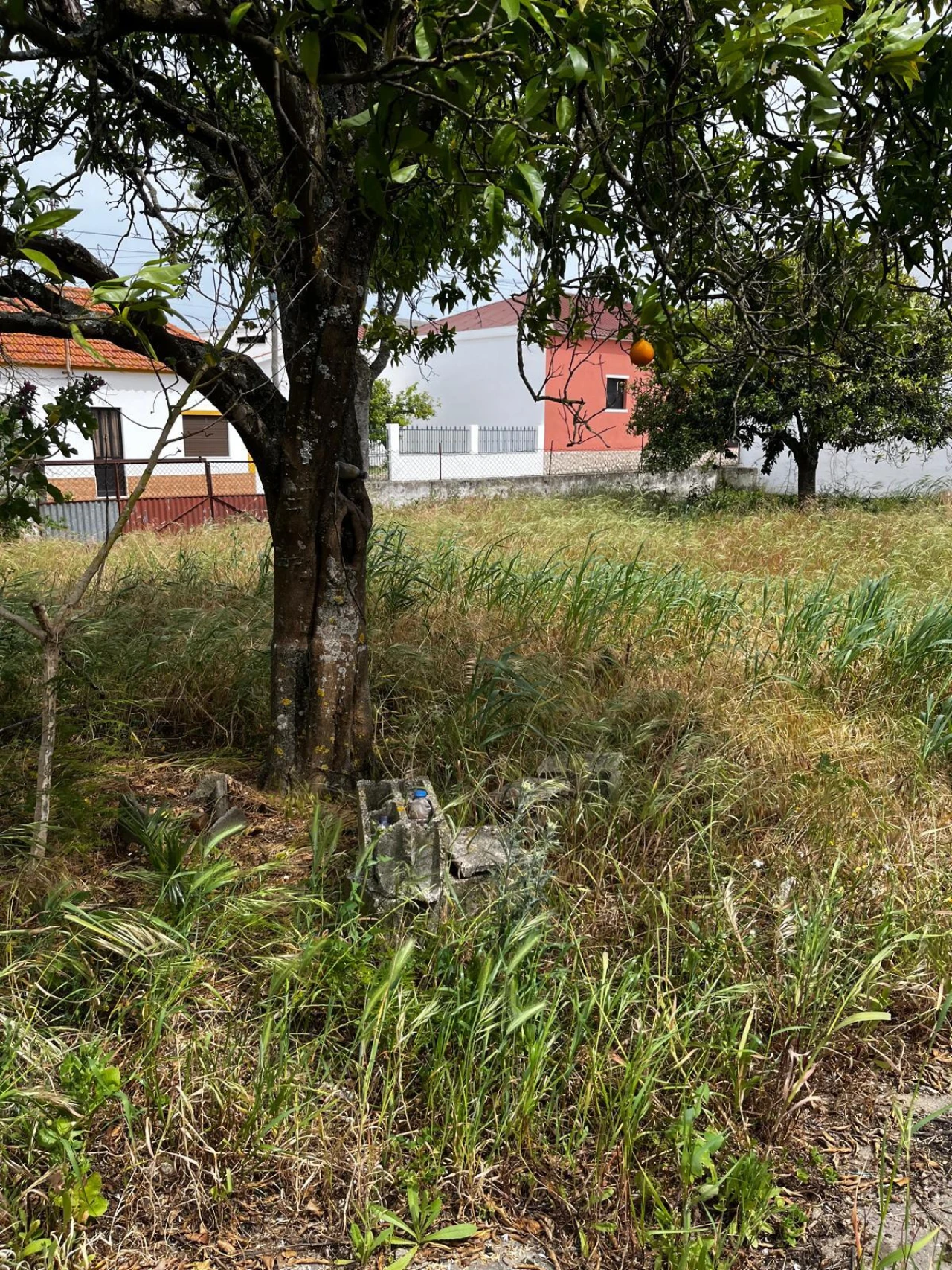 Terreno para Venda em Fazendas de Almeirim Foto 5