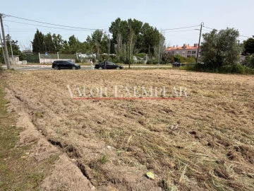 Terreno para Venda em Pinhal Novo