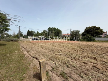 Terreno para Venda em Pinhal Novo
