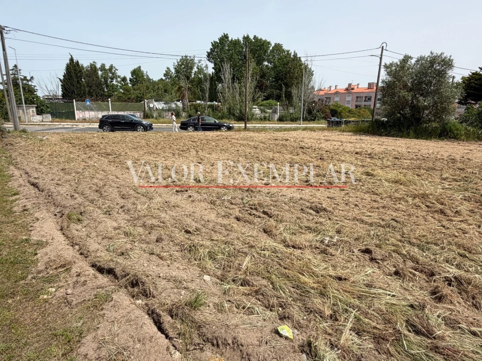 Terreno para Venda em Pinhal Novo Foto 4