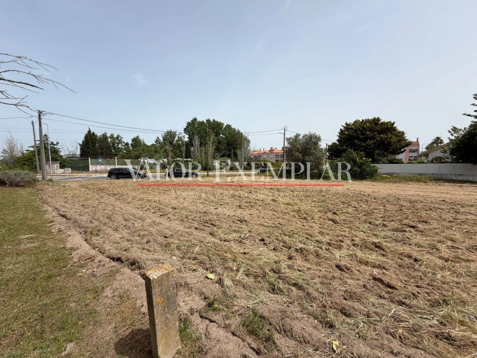 Terreno para Venda em Pinhal Novo Foto 3