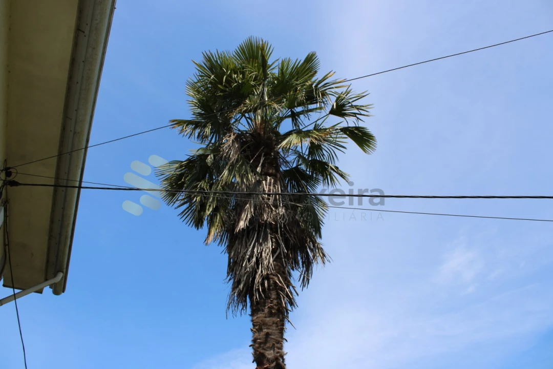 Moradia T4 para Venda em Sobretamega Foto 13