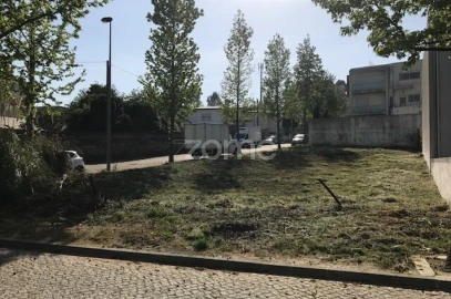 Terreno para Venda em Folgosa