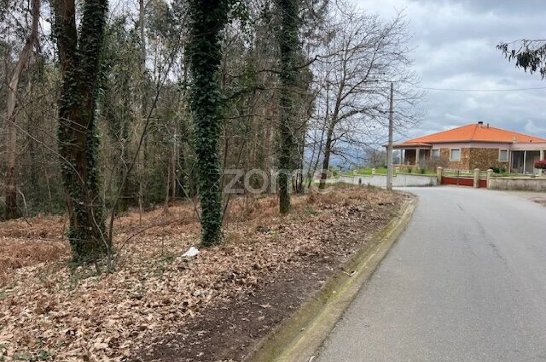 Terreno para Venda em Fornelos e Queijada Foto 10