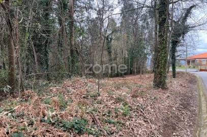 Terreno para Venda em Fornelos e Queijada