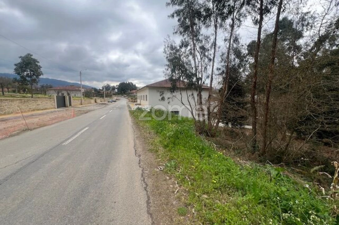 Terreno para Venda em Fornelos e Queijada Foto 6