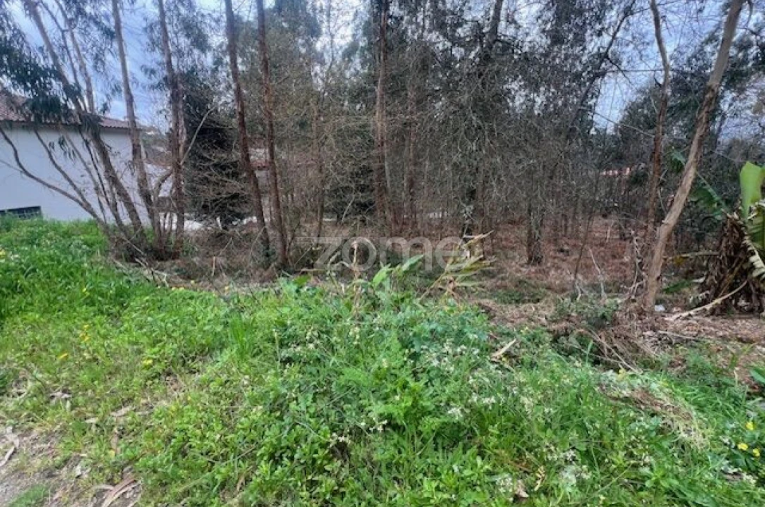 Terreno para Venda em Fornelos e Queijada Foto 7