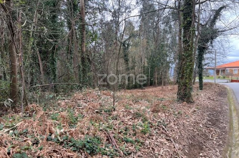 Terreno para Venda em Fornelos e Queijada Foto 9