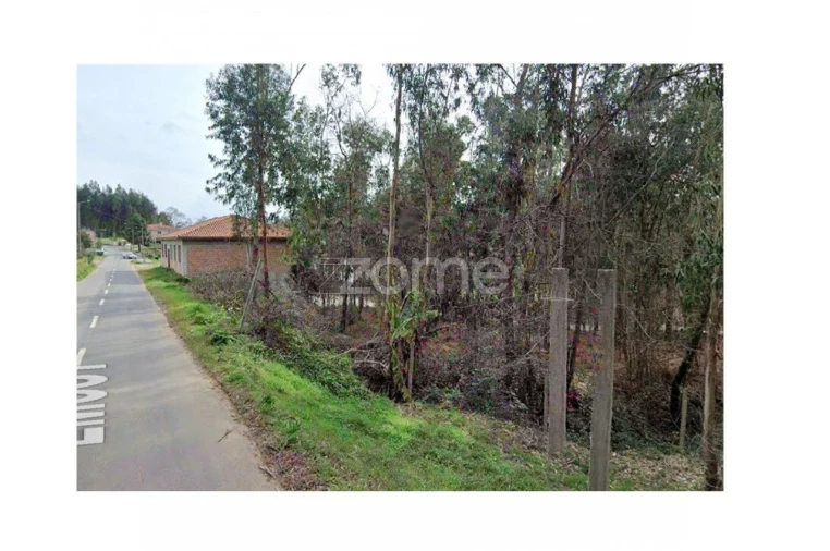 Terreno para Venda em Fornelos e Queijada Foto 2