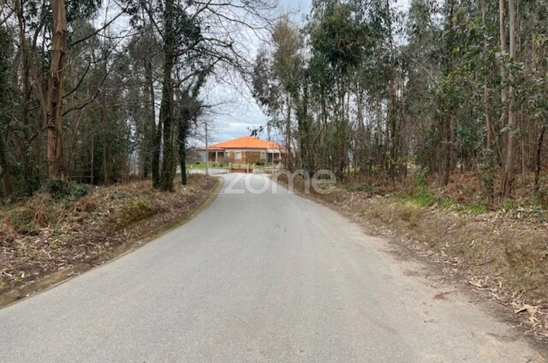 Terreno para Venda em Fornelos e Queijada Foto 8