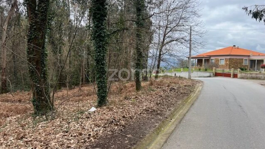 Terreno para Venda em Fornelos e Queijada