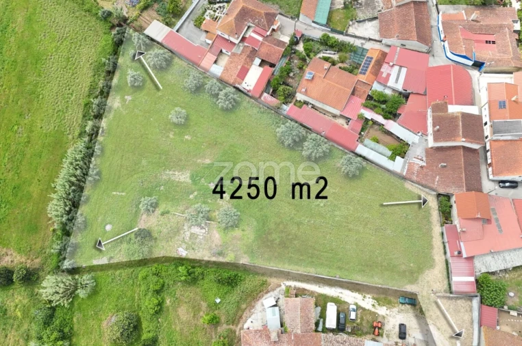 Terreno para Venda em Vacariça Foto 8