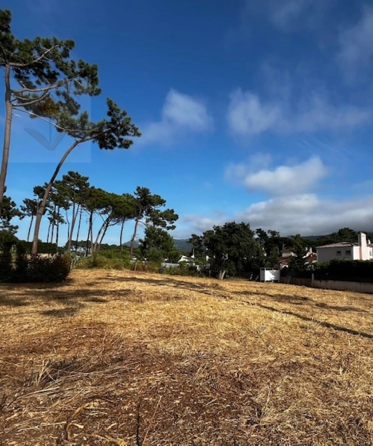 Terreno para Venda em Colares Foto 2