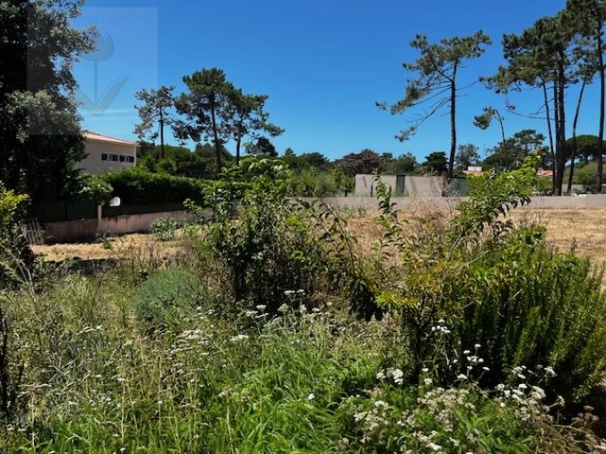 Terreno para Venda em Colares Foto 3