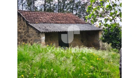 Quinta para Venda em Midões