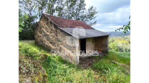 Quinta para Venda em Midões