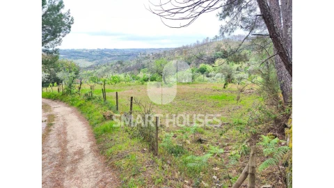 Quinta para Venda em Midões