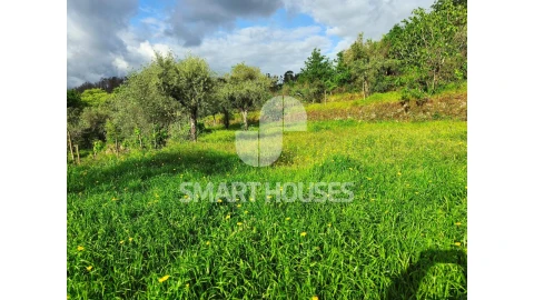 Quinta para Venda em Midões