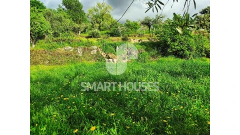 Quinta para Venda em Midões