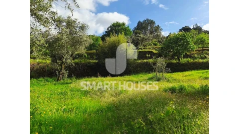 Quinta para Venda em Midões