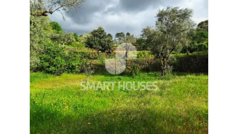 Quinta para Venda em Midões