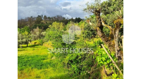 Quinta para Venda em Midões