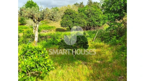 Quinta para Venda em Midões