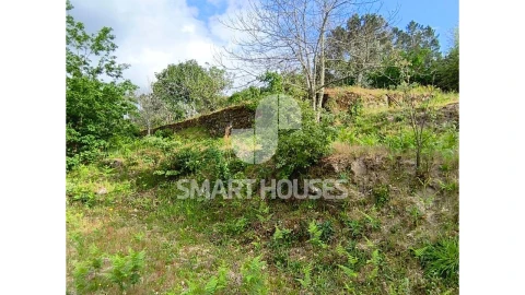 Quinta para Venda em Midões