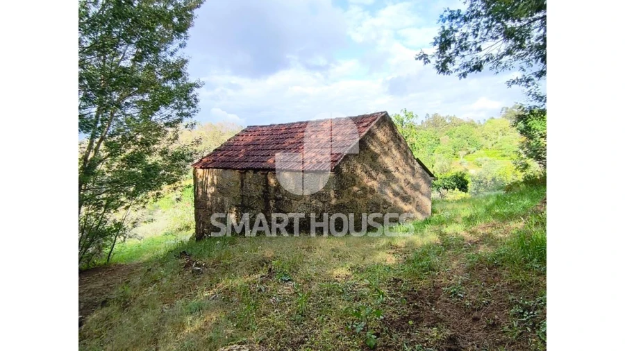 Quinta para Venda em Midões Foto 8