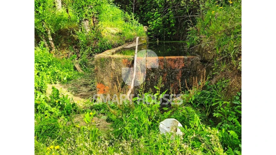 Quinta para Venda em Midões Foto 10