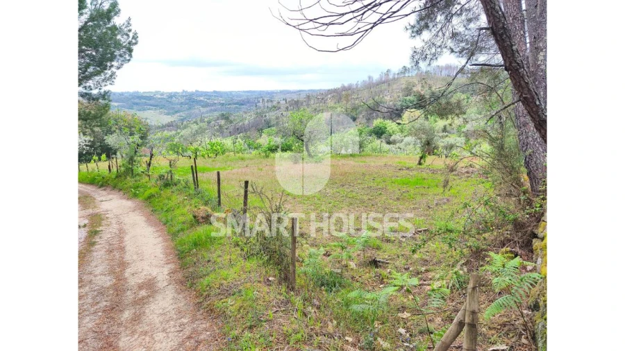 Quinta para Venda em Midões Foto 12
